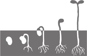 logo_sdp_medium.png